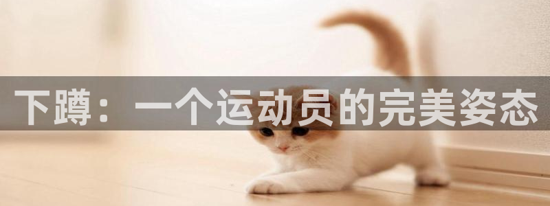 top1體育官網(wǎng)鏈接：下蹲：一個(gè)運(yùn)動(dòng)員的完美姿態(tài)